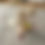 Thumbnail: Magnetic Bird with Worms